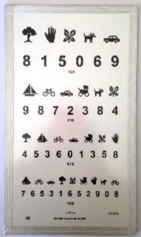 53856