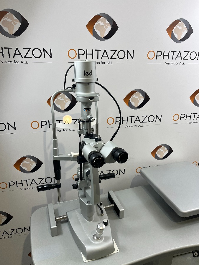 53894