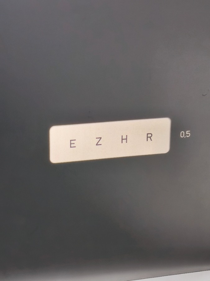 46241